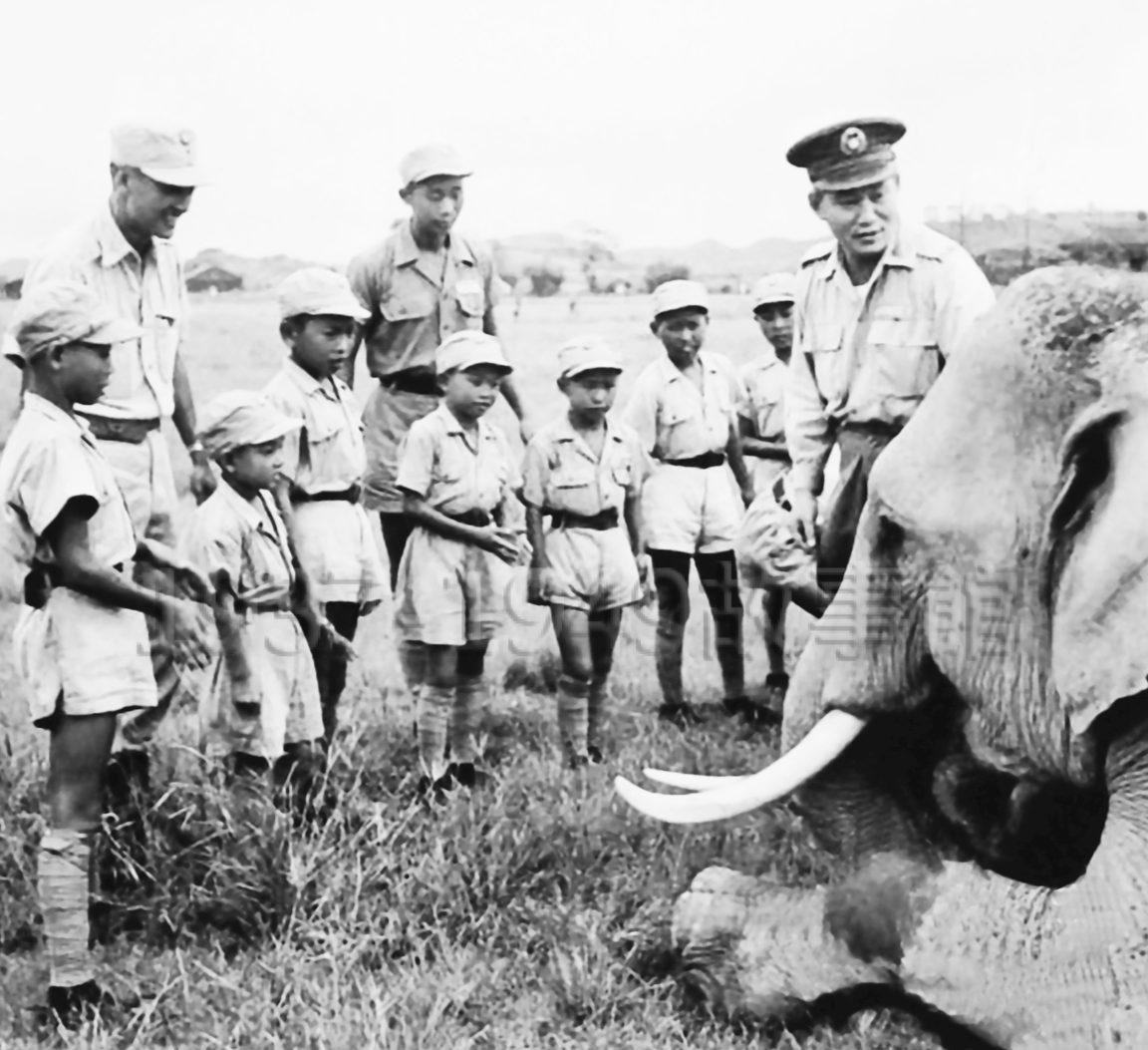圖二　大象林旺在灣仔頭營區的玩伴幼年兵。（1951《美國LIFE雜誌》／羅廣仁典藏）
