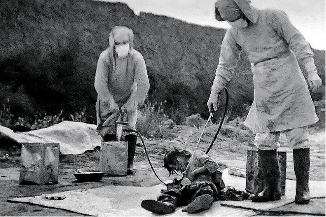 圖二　731部隊進行細菌測試，1940年11月。（來源：維基公享資源，公有領域）