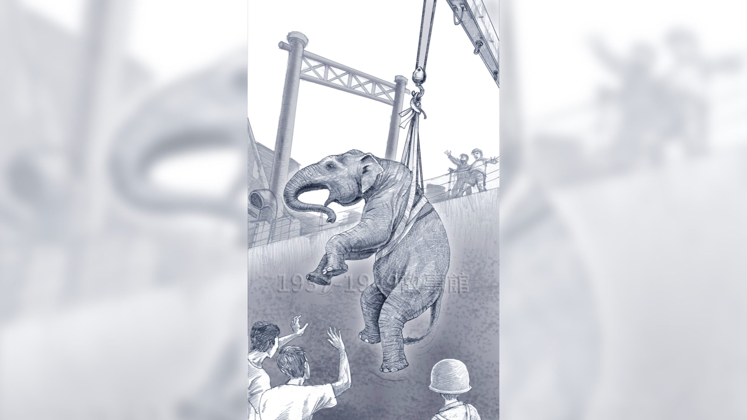 大象吊起來