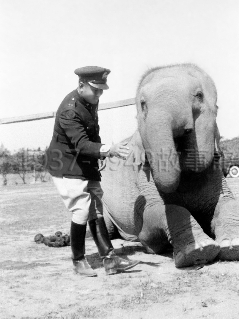 圖五　孫立人將軍探視大象阿沛。（1949鳳山）