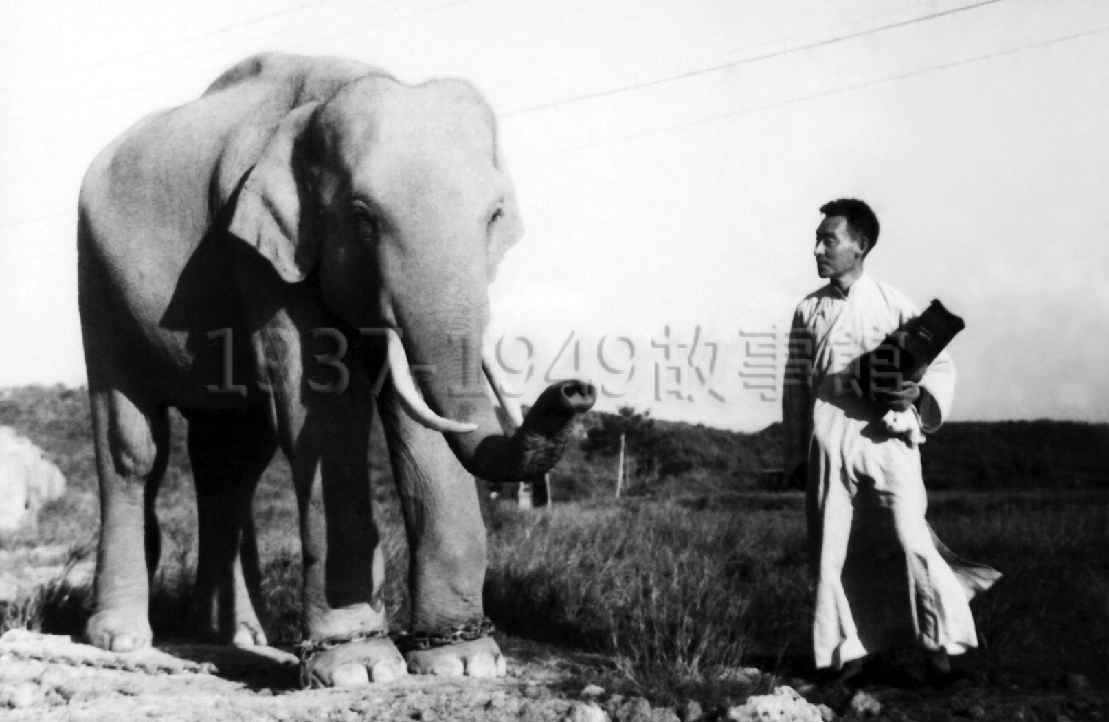 圖十一　攝影大師郎靜山也慕名到鳳山拍攝大象林旺。（1951，鳳山）